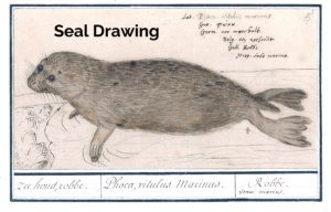 Guide to Seal Drawing